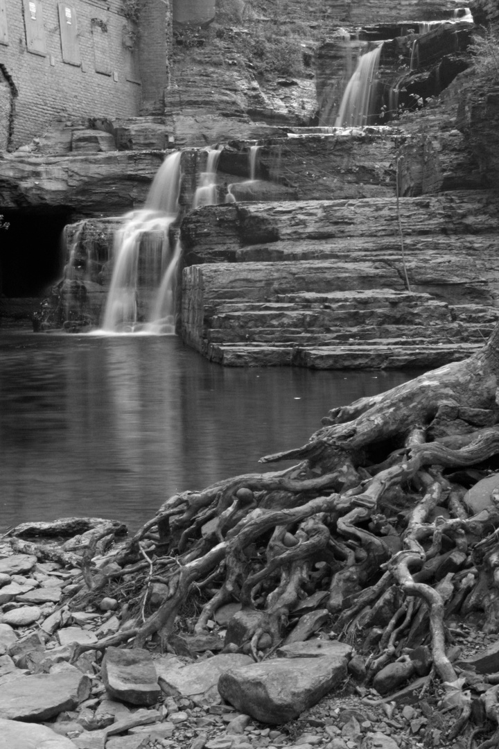 Wells Falls with roots