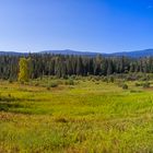 Wells Gray Nat. Park