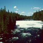 Wells Gray Provincial Park, BC - 1992