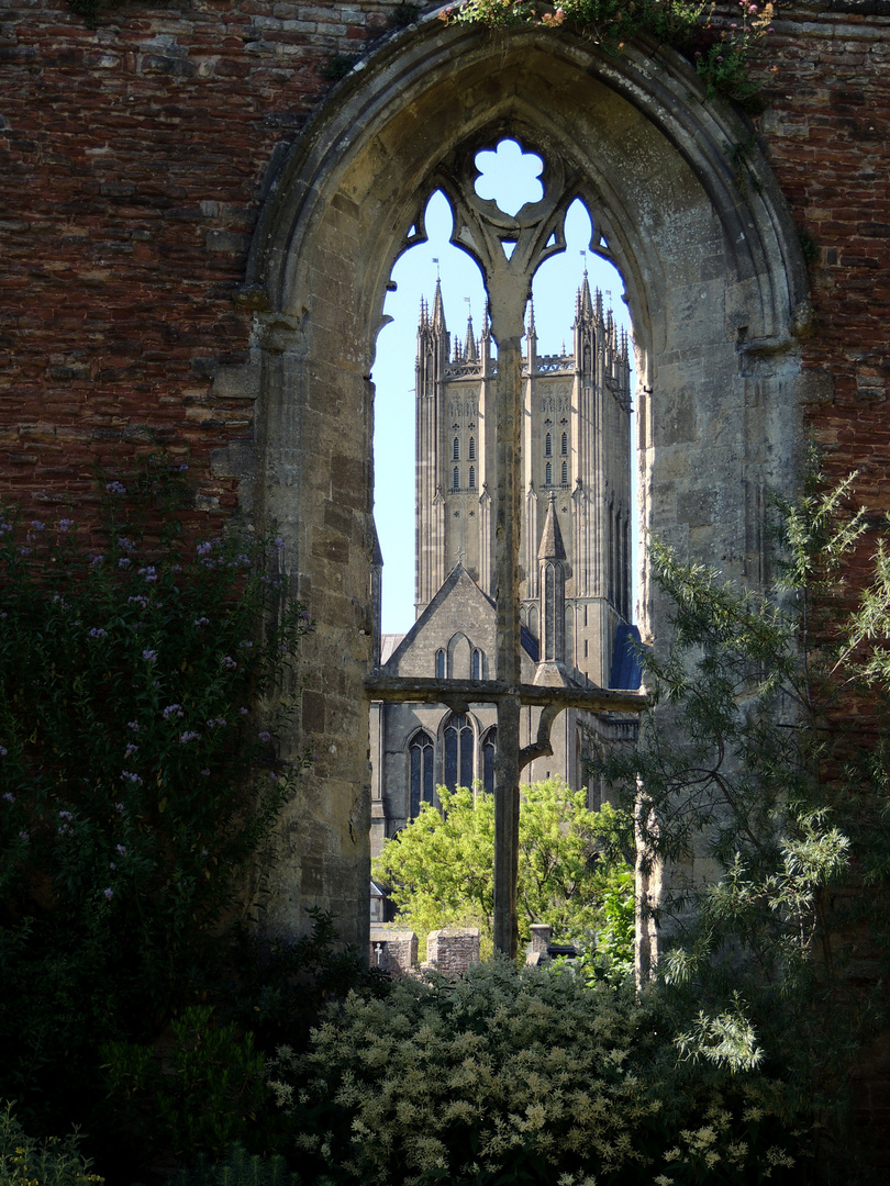 Wells - Kathedrale von Südosten