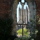 Wells - Kathedrale von Südosten