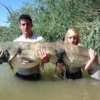 WELS CATFISH