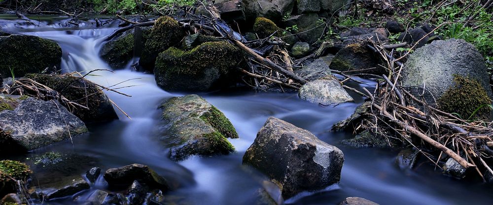 "Welseabsturz" im Lenné Park Görlsdorf