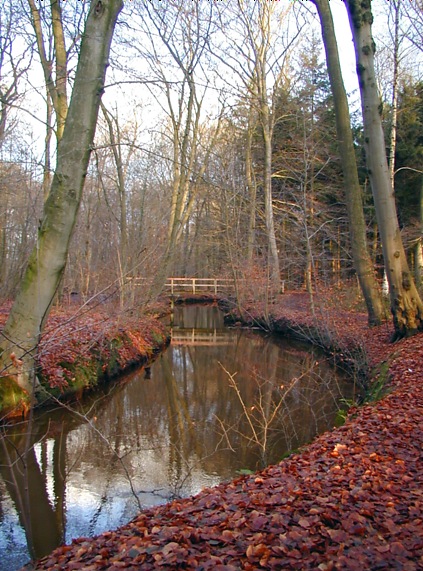 Welsebrücke im Tiergarten I