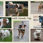 Welt-Hunde-Tag