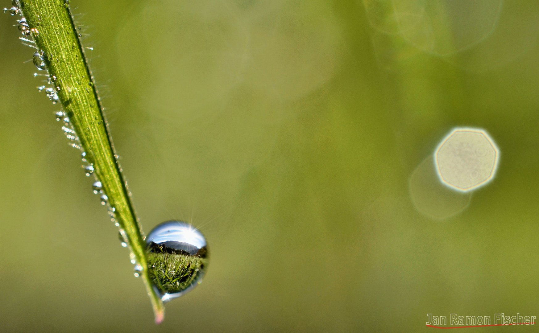 Welt im Glas