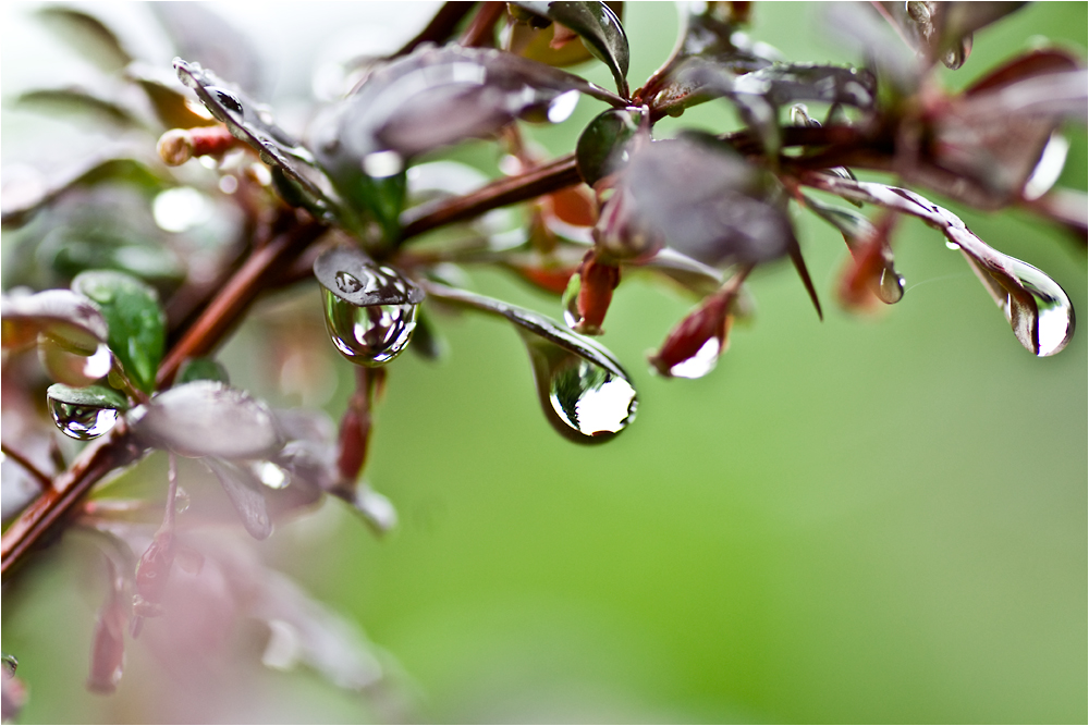 Welt im Kleinen (3)