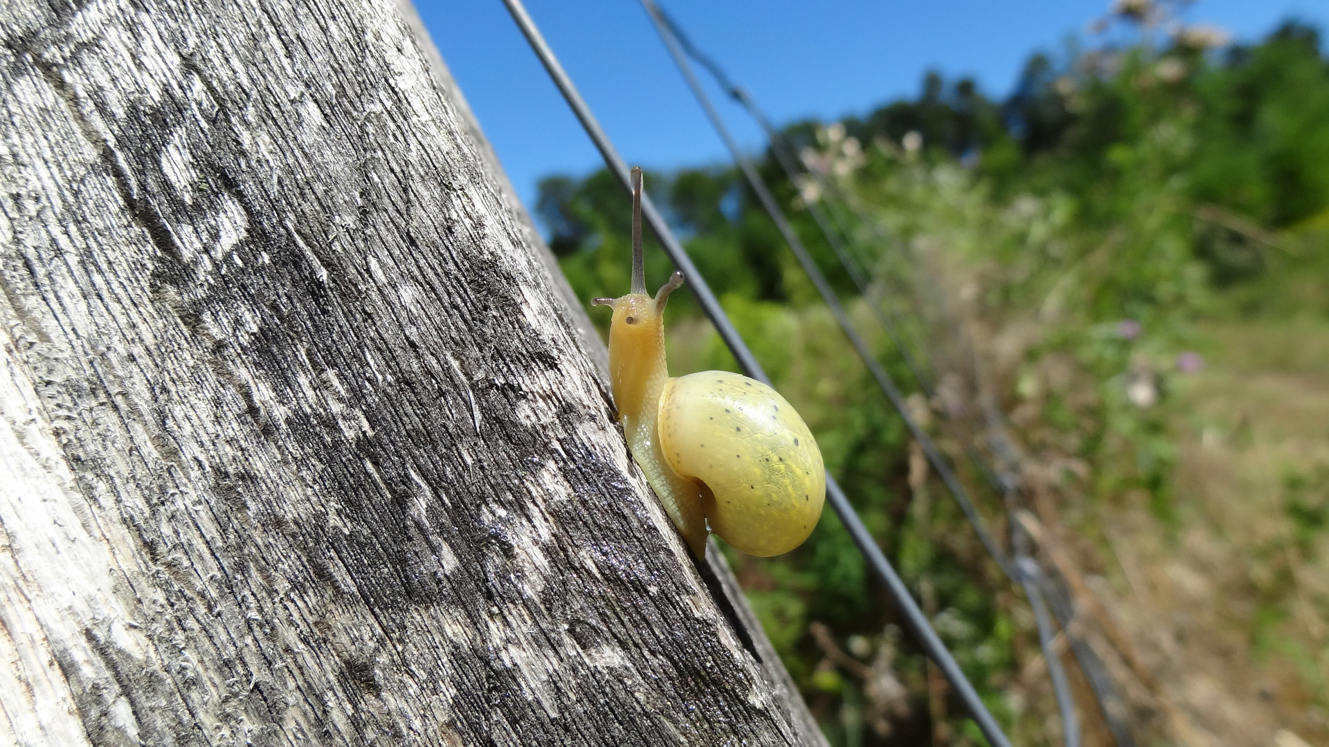 Welt in Schräglage