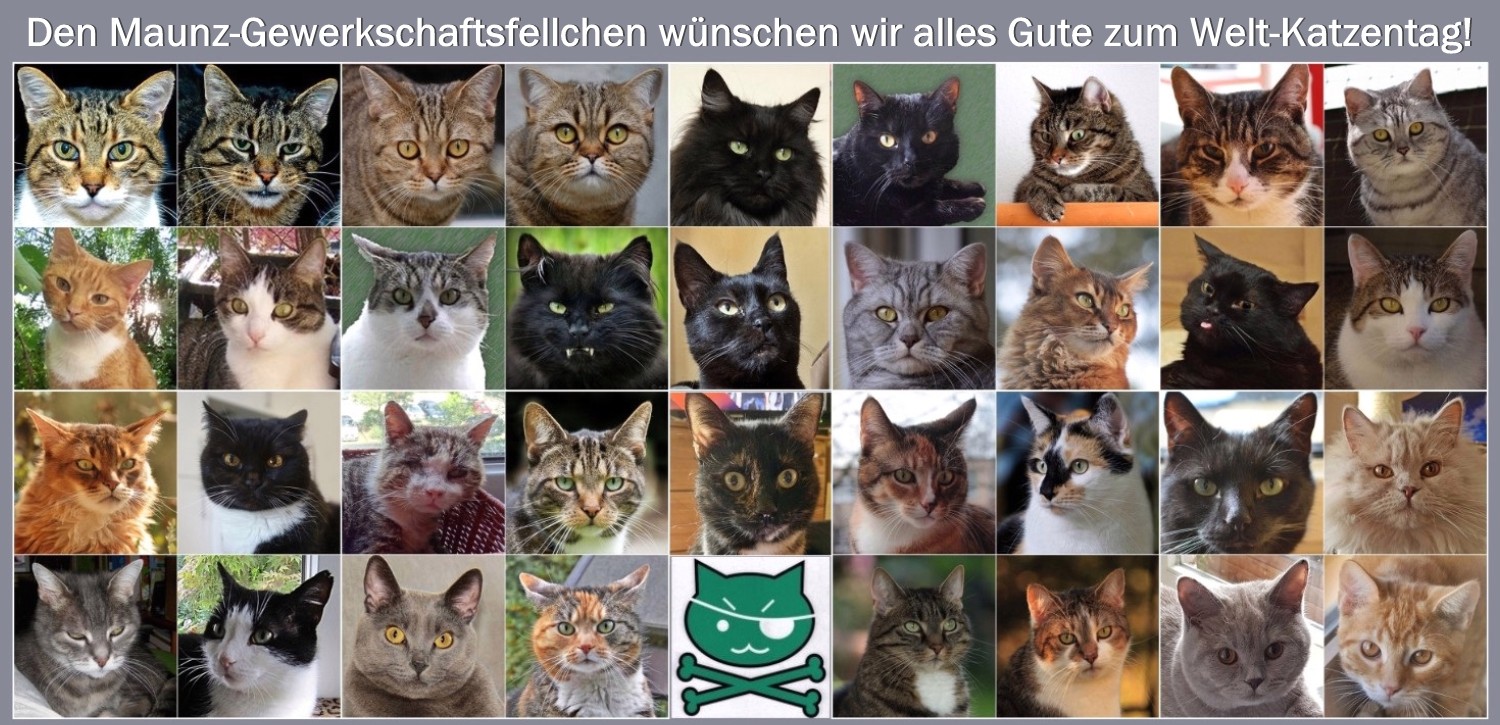 Welt-Katzentag 