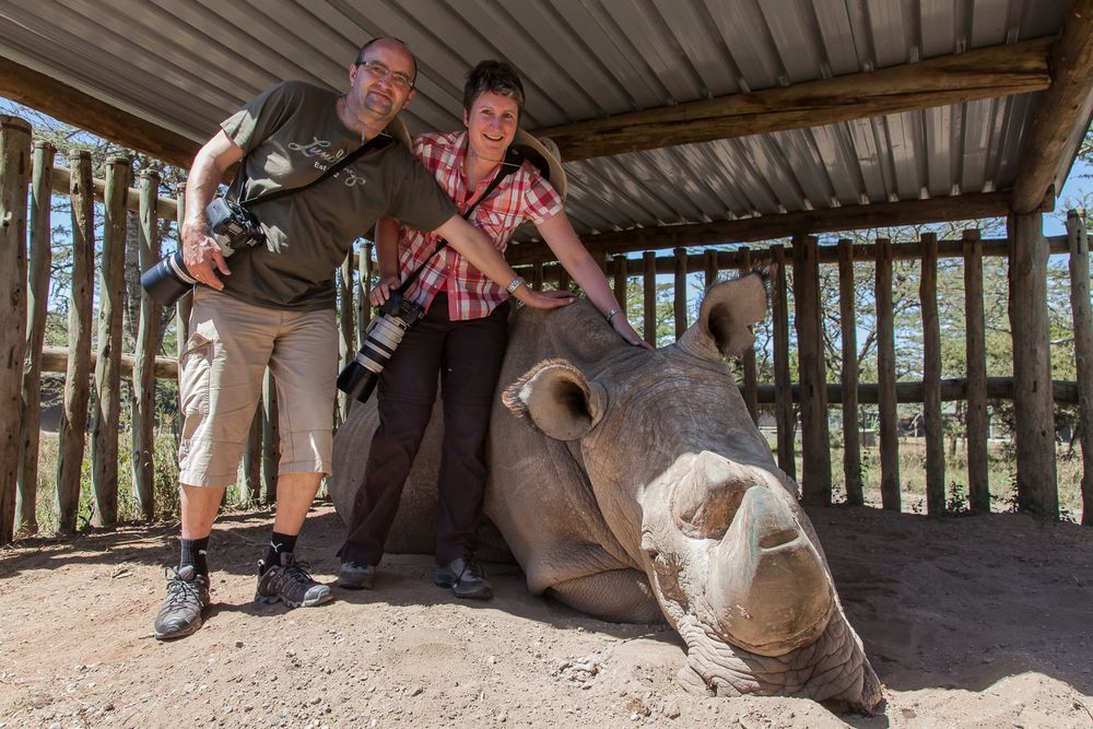 Welt-Nashorn-Tag