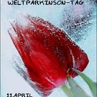 Welt-Parkinson-Tag "rote Tulpe "Freezing"