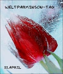 Welt-Parkinson-Tag "rote Tulpe "Freezing"