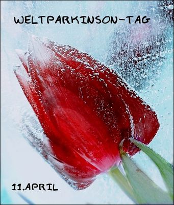 Welt-Parkinson-Tag: rote Tulpe "Freezing"