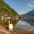 Welterbe Ort Hallstatt beim Hallstätter See im Salzkammergut