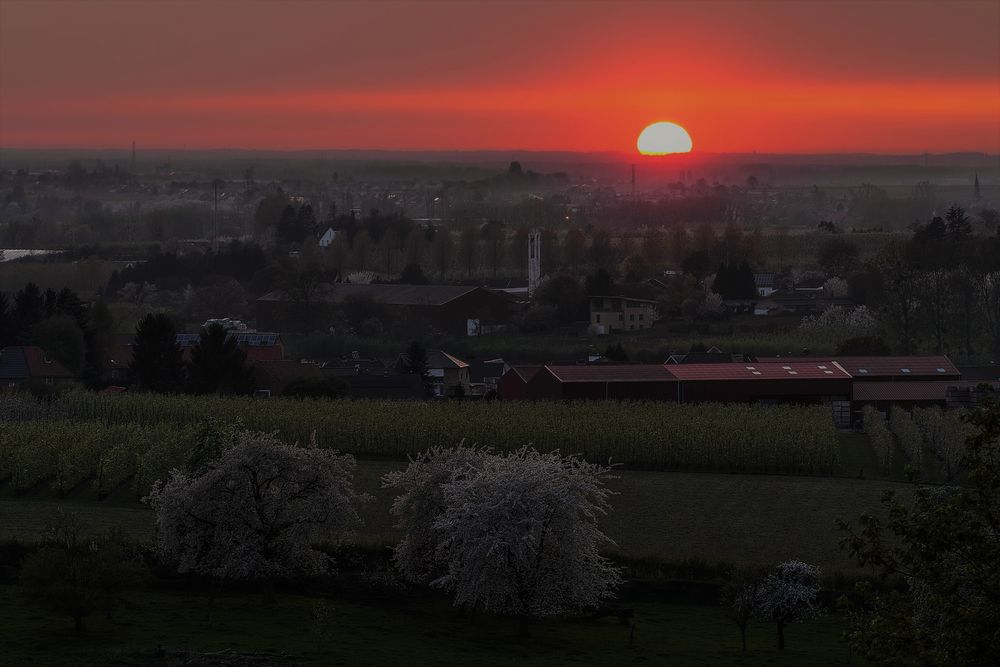 Welterusten, Haspengouw!