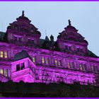 Weltfrühchentag 2013 Schloss Heidelberg