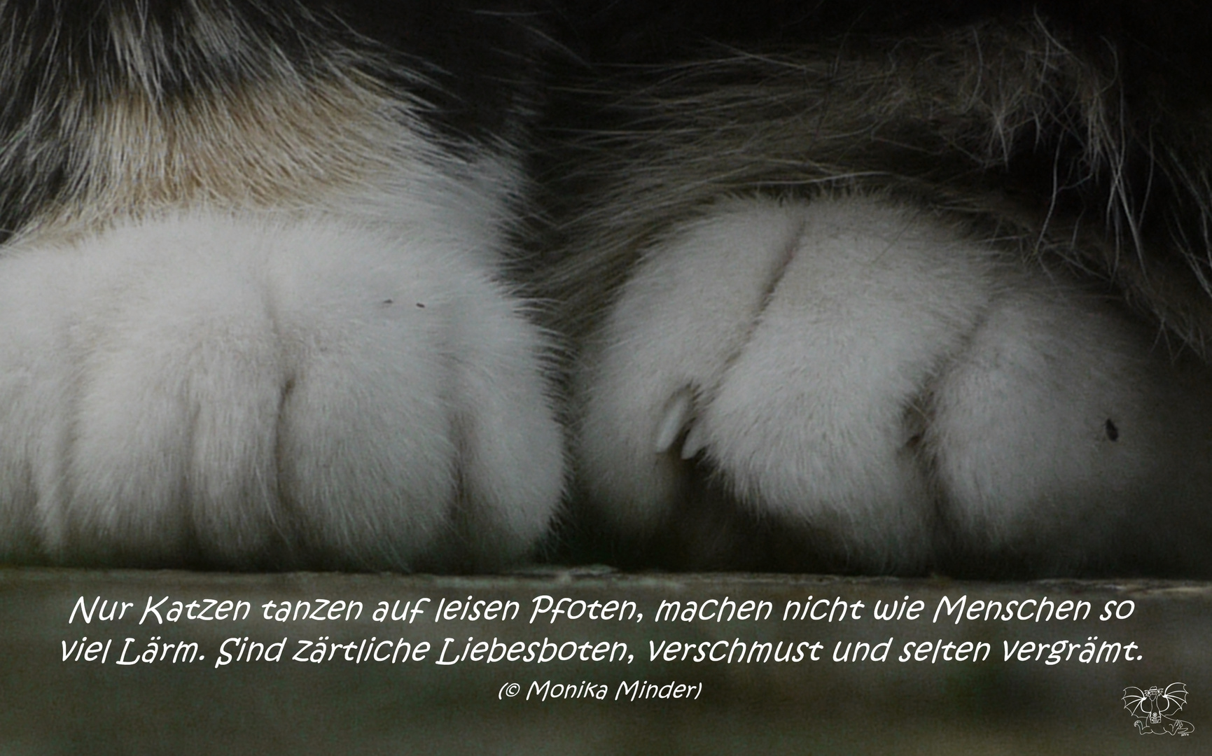 Weltkatzentag