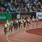 Weltklasse Zürich 2013 - 5000 m Frauen - noch sind sie "aufgereiht"