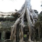 Weltkulturerbe Angkor