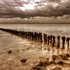 Weltkulturerbe Wattenmeer