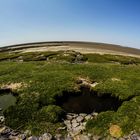 Weltkulturerbe Wattenmeer