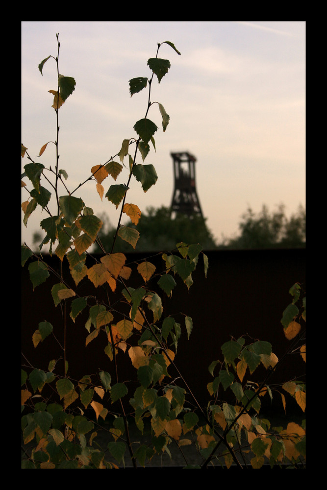 Weltkulturerbe Zeche Zollverein