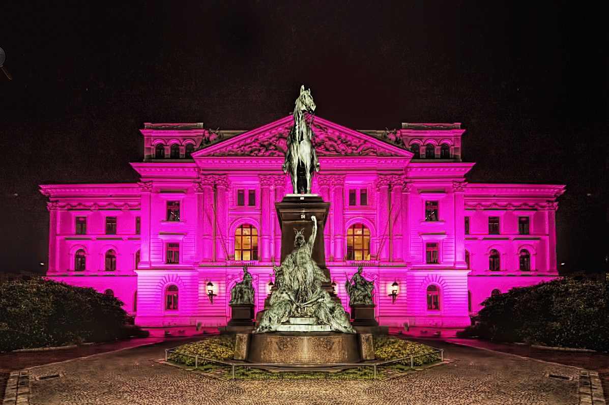 Weltmädchentag Rosa Altonaer Rathaus