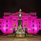 Weltmädchentag Rosa Altonaer Rathaus