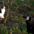 Weltmeister im Posing (2)