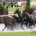 Weltmeisterschaft der Vierspänner - WEG Aachen 2006