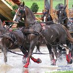 Weltmeisterschaft der Vierspänner - WEG Aachen 2006