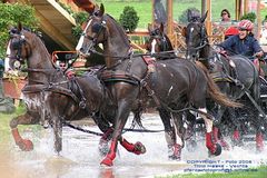 Weltmeisterschaft der Vierspänner - WEG Aachen 2006