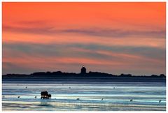 Weltnaturerbe - Nationalpark Wattenmeer...