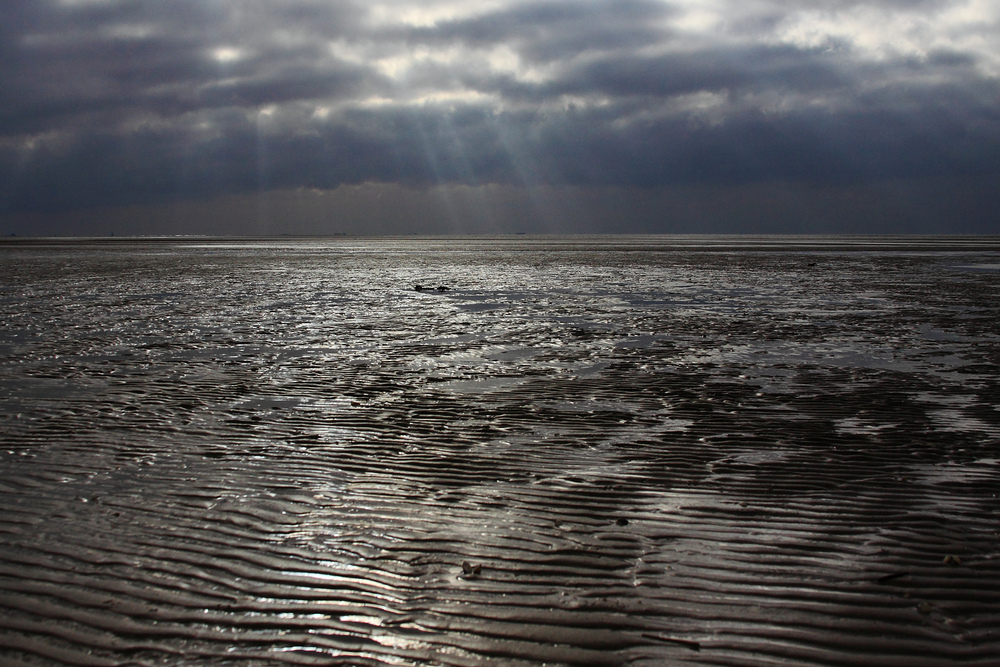 Weltnaturerbe Wattenmeer