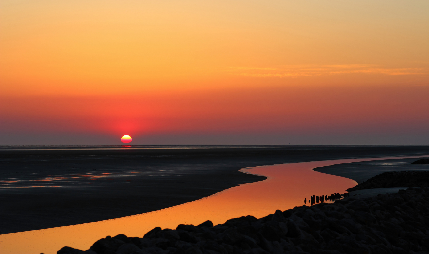 Weltnaturerbe Wattenmeer  (2)