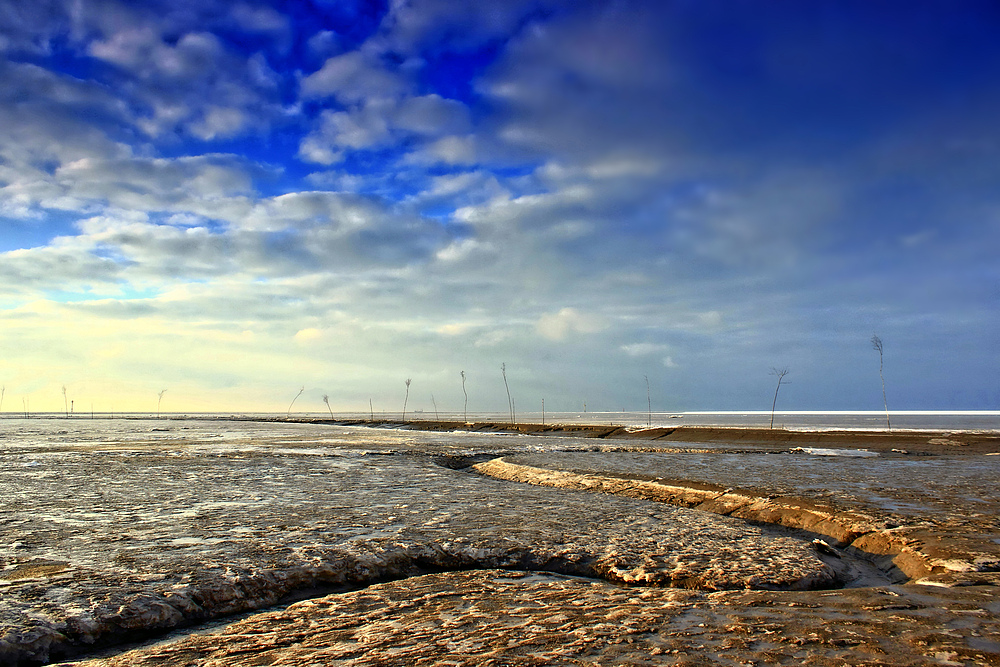 *Weltnaturerbe Wattenmeer (4)*