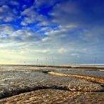 *Weltnaturerbe Wattenmeer (4)*