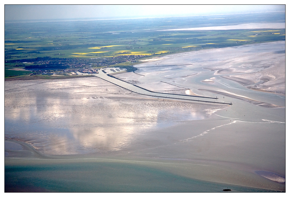 Weltnaturerbe Wattenmeer (5)