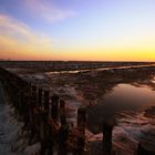 *Weltnaturerbe Wattenmeer (5)*