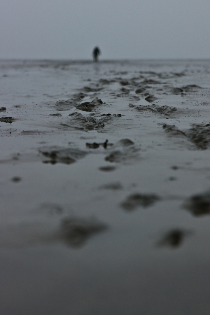 Weltnaturerbe Wattenmeer