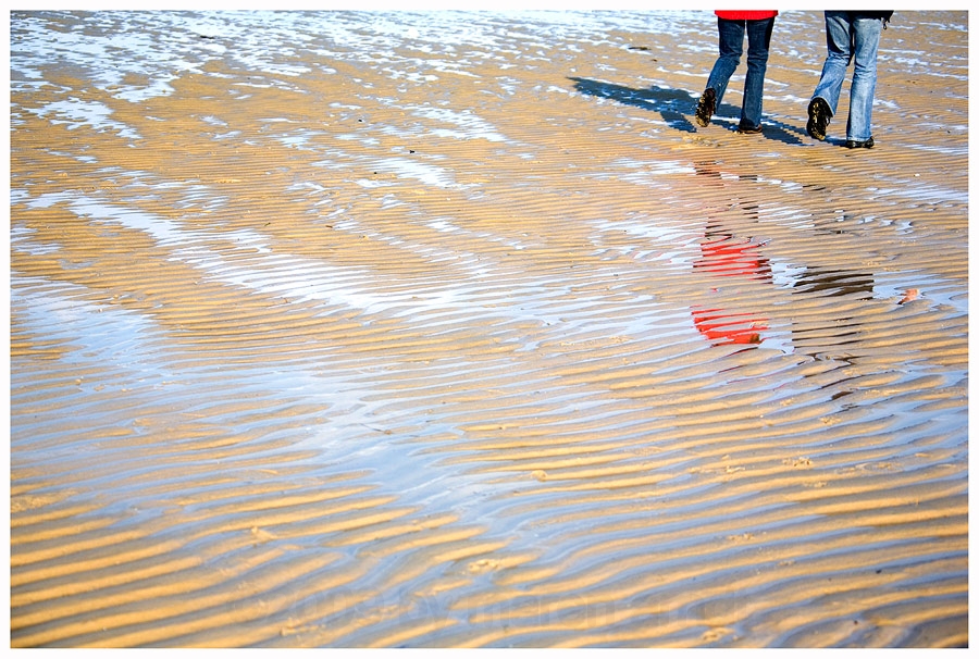 Weltnaturerbe Wattenmeer .....