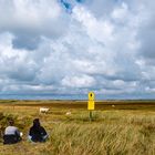 Weltnaturerbe Wattenmeer