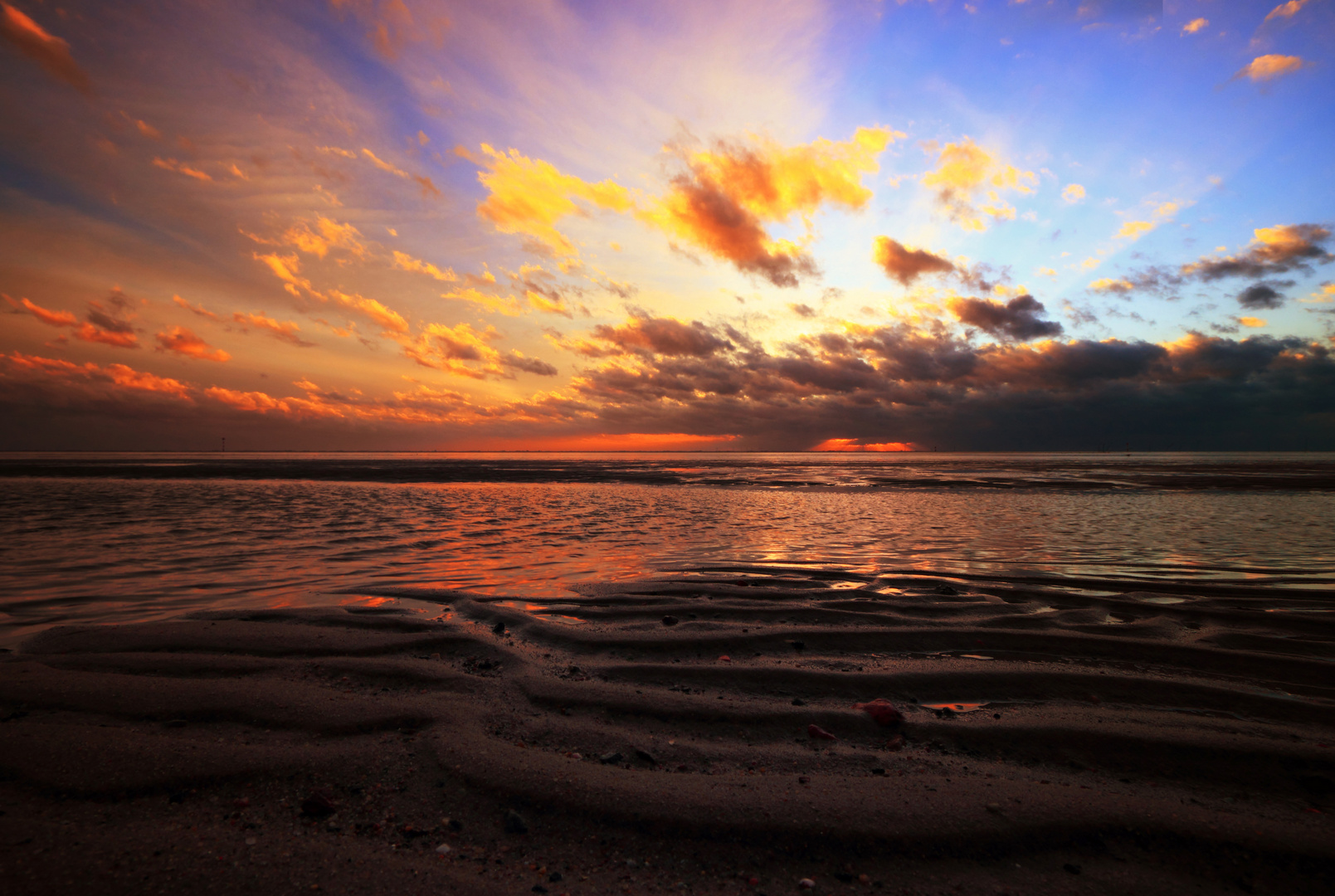 *Weltnaturerbe Wattenmeer (8)*