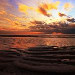 *Weltnaturerbe Wattenmeer (8b)*