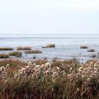 Weltnaturerbe Wattenmeer