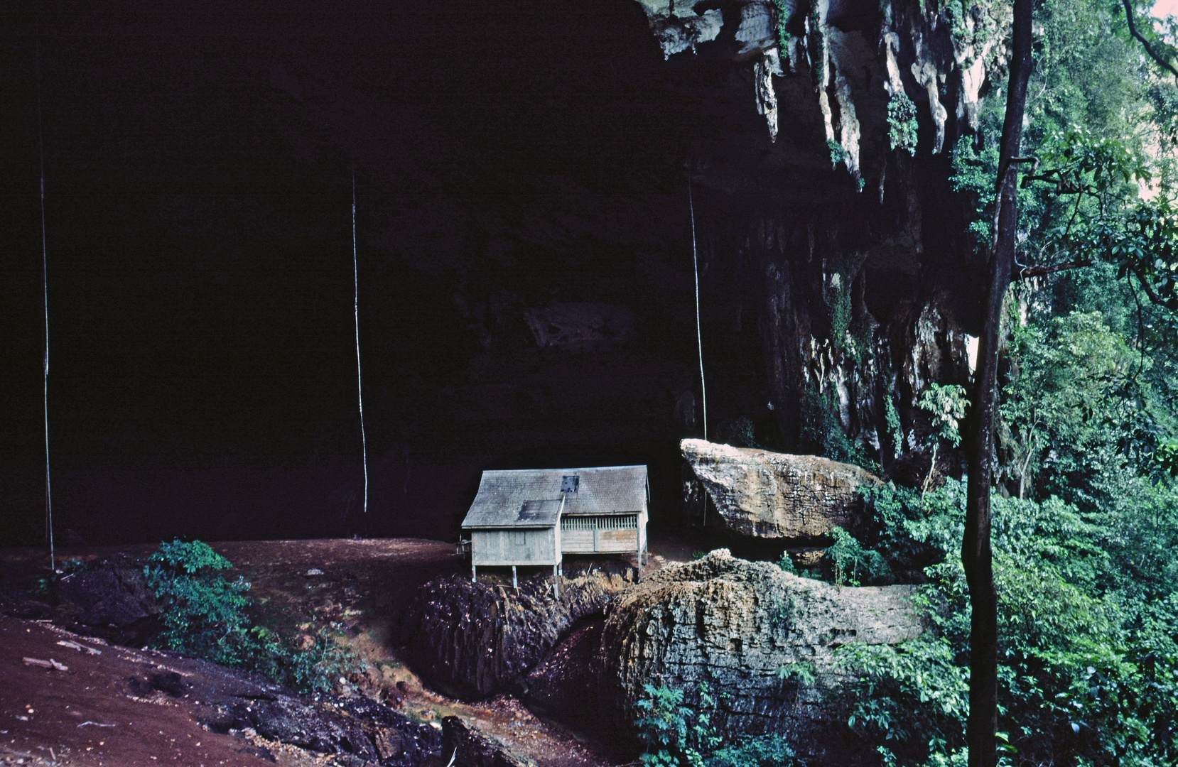 Weltreise 1981 - Sarawak - Niah Höhlen (Malaysia)