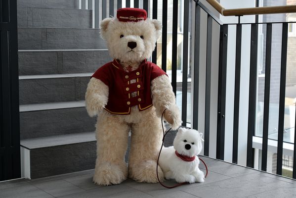 Welttag des Teddybären