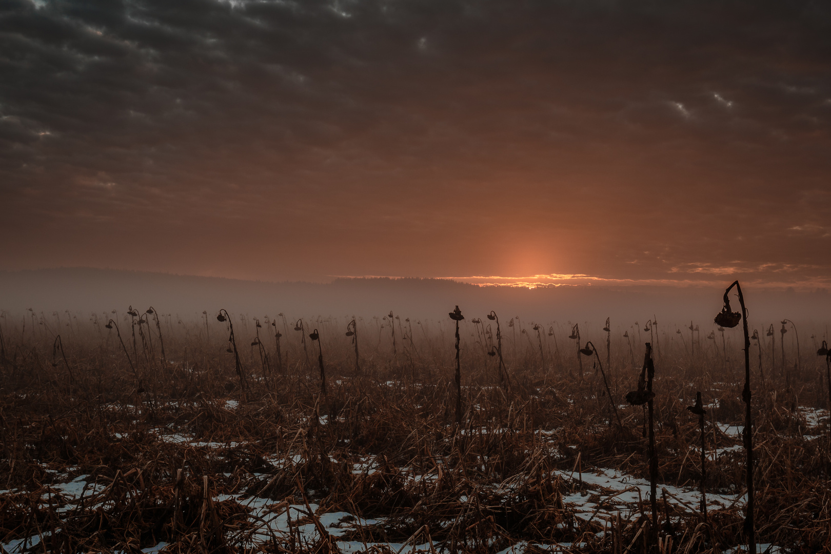 Weltuntergang Liste Weltuntergang Liste