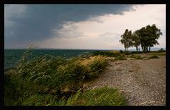 Weltuntergang am Bodensee