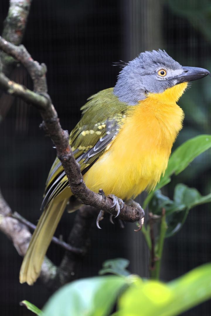 Weltvogelpark Walsrode